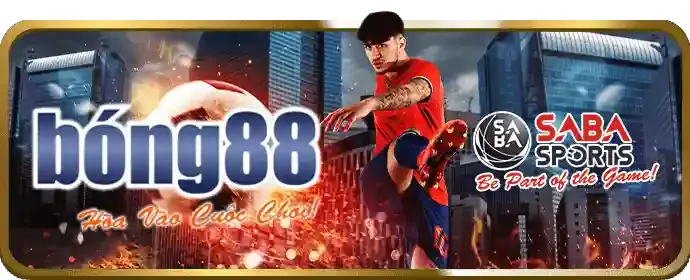 Hình ảnh đại diện cho dịch vụ hỗ trợ khách hàng của 8888vnd